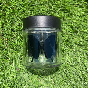 Black Butterfly Jar (slight defect)